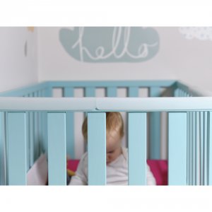 Rails de protection pour les dents 2cm Prince lionheart