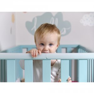 Rails de protection pour les dents 2cm Prince lionheart