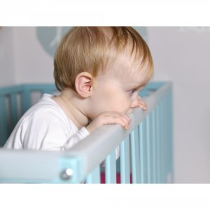 Rails de protection pour les dents 2cm Prince lionheart