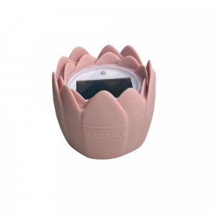 Thermomètre de bain numérique litchi Petit truc