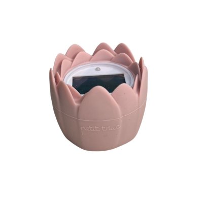 Thermomètre de bain numérique litchi