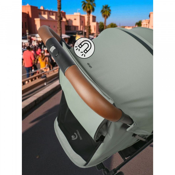 Poussette screen iguana Renolux