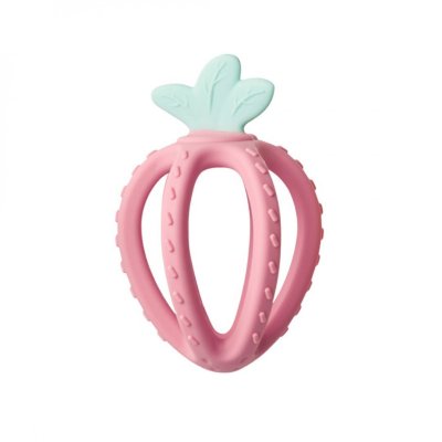 Anneau de dentition fresh fruit blossom