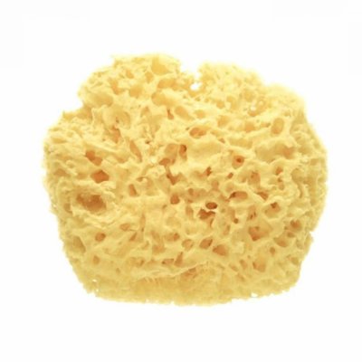 Éponge naturelle premium