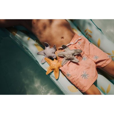 Jouet de plongée étoile de mer