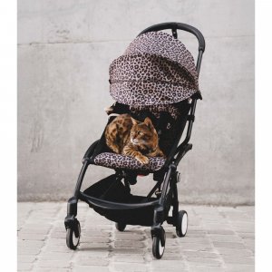Poussette yoyo 3 châssis noir pack 6+ leopard - wild collection Stokke