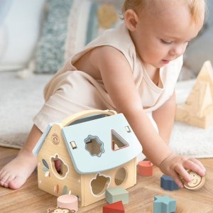 Maison boîte à formes en bois 8 blocs Speedy monkey