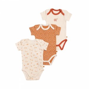 Lot de 3 bodies manches courtes 3 mois orsino Sauthon baby deco