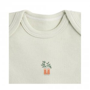 Lot de 3 bodies 6 mois manches courtes botanica Sauthon baby deco