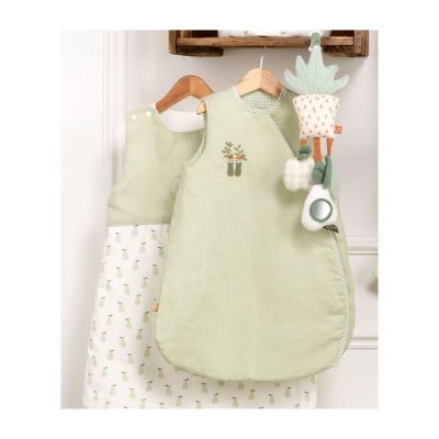 Jouet d'activités botanica