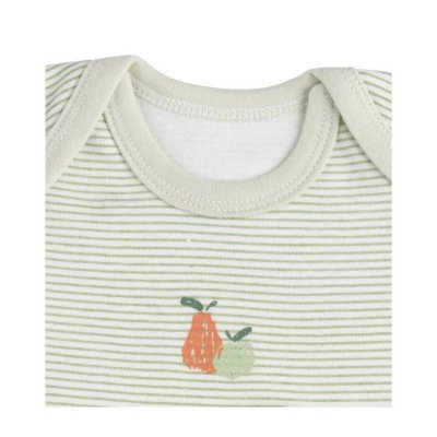 Lot de 3 bodies 6 mois manches courtes botanica