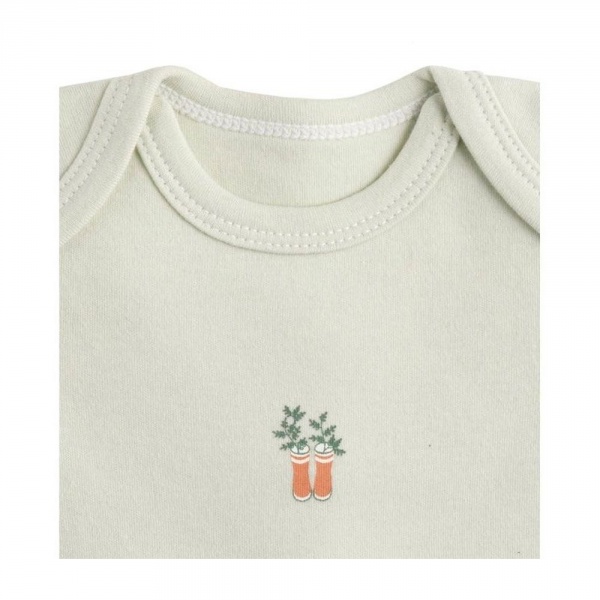 Lot de 3 bodies 6 mois manches courtes botanica Sauthon baby deco