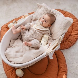 Biberon bébé 270 ml sx pro birdies beige Suavinex