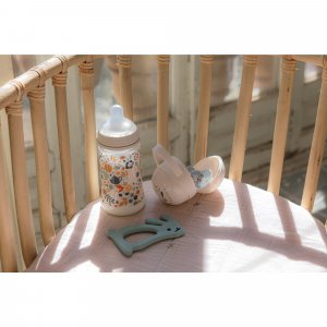 Boîte à sucettes duo wonderland Suavinex