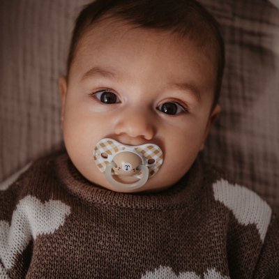 Lot de 2 sucettes symétriques sx pro wild&ampfree 0-6 mois marron