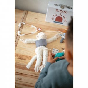 Malette de docteur en bois 3 ans et + Tryco