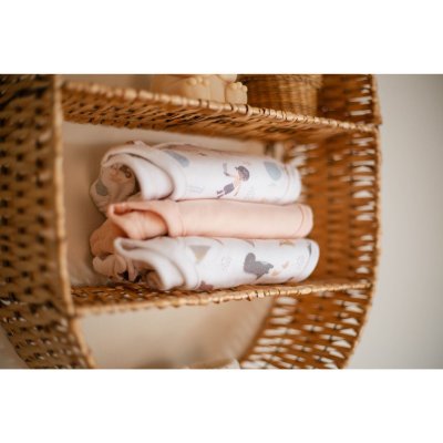 Culotte d'apprentissage 18-24 mois - blush & blossom / dinosaure