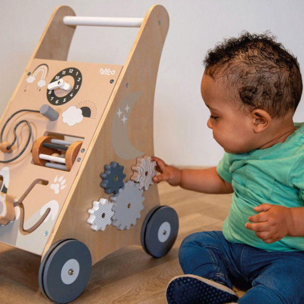 Chariot d'activités et de marche 12 mois et + avec cubes en bois Tryco