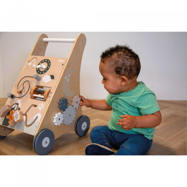 Chariot d'activités et de marche 12 mois et + avec cubes en bois Tryco