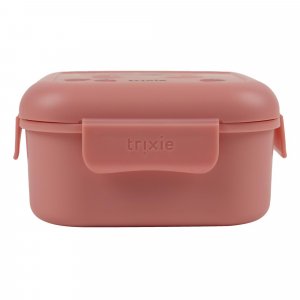 Boîte à goûter avec clips carrée - fruit fairy mrs. butterfly Trixie