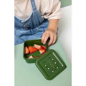 Lot de 3 boîtes à goûter carrées - mr. alligator Trixie