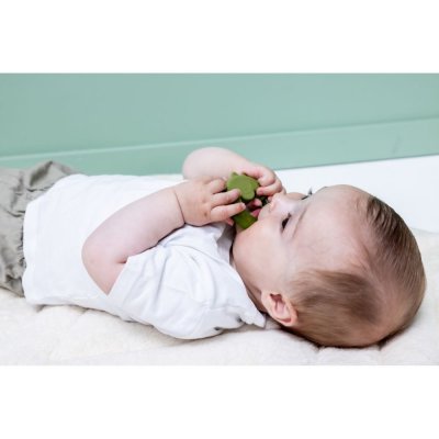 Anneau de dentition réfrigérante - mr. dino