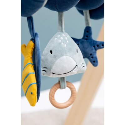 Spirale d'activités - mr. shark