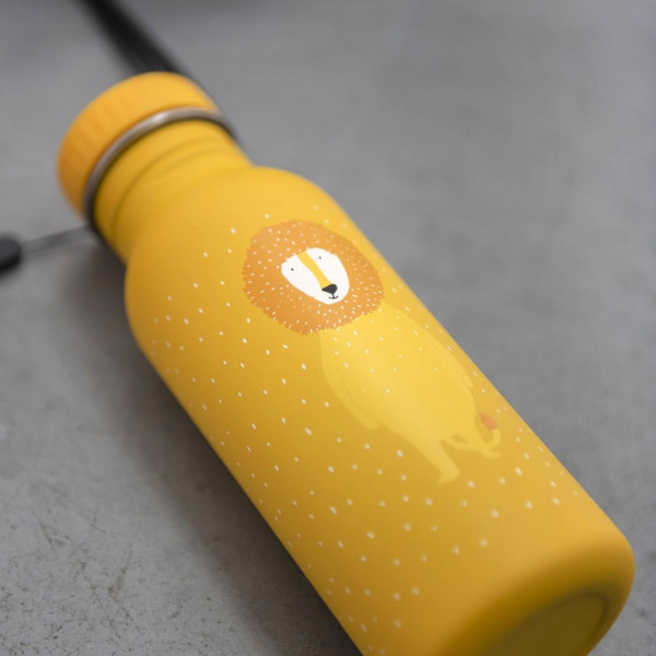 Gourde enfant 500ml mr. lion Trixie