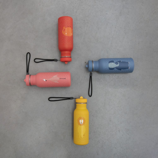 Gourde enfant 500ml mr. lion Trixie