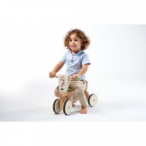 Tricycle en bois - boho chic Tiny love