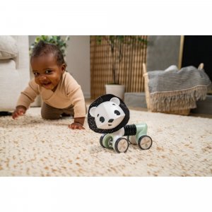 Jouet d'éveil tiny roller lion - black & white Tiny love