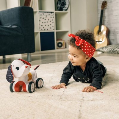 Charlie le chien rock n roll