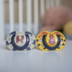 Lot de 2 sucettes closer to nature fun 18-36 mois Tommee tippee