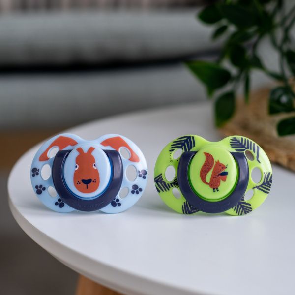 Lot de 2 sucettes closer to nature fun 18-36 mois Tommee tippee