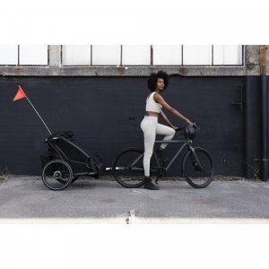 Remorque pour vélo chariot sport 2 black Thule