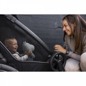 Remorque pour vélo chariot sport 2 black Thule