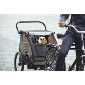 Remorque pour vélo courier vintage green Thule