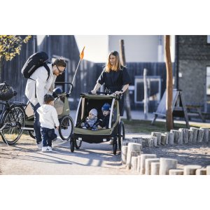 Remorque pour vélo courier vintage green Thule