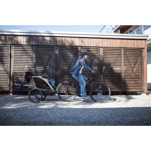 Remorque pour vélo courier vintage green Thule