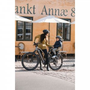 Siège vélo arrière yepp 2 maxi - fennel tan Thule