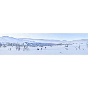 Kit ski pour remorque chariot - génération 1 et 2 Thule