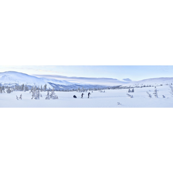Kit ski pour remorque chariot - génération 1 et 2 Thule