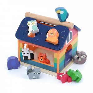 Maison jeu de formes arc-en-ciel andy westface Vilac