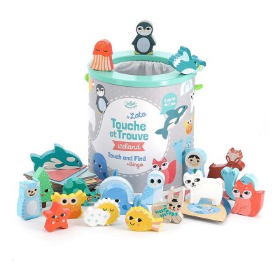 Jeu de reconnaissance touche et trouve iceland - michelle carlslund