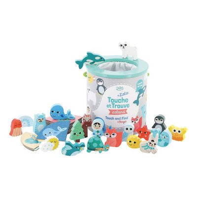 Jeu de reconnaissance touche et trouve iceland - michelle carlslund