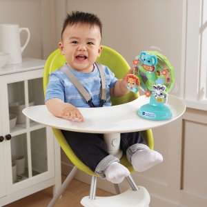 Jouet d'activité la grande roue des baby loulous Vtech