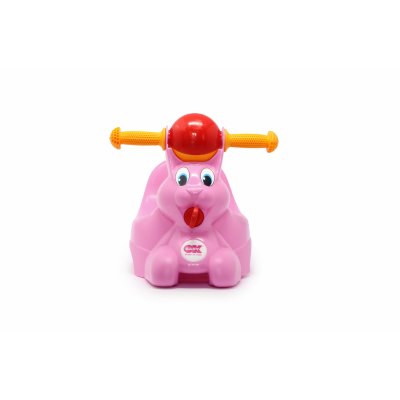 Pot spidy potty rose