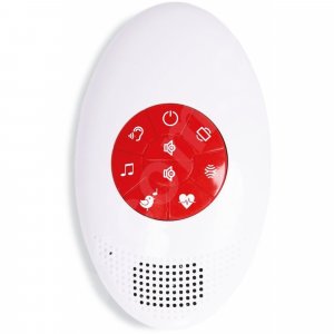 Peluche musicale - bibi le lapin Zazu