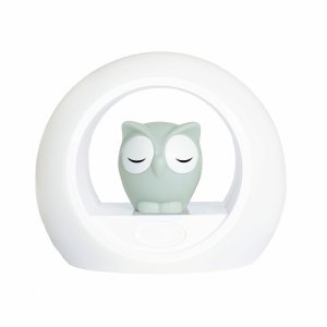 Veilleuse bébé lou le hibou gris Zazu