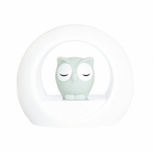 Veilleuse bébé lou le hibou gris Zazu